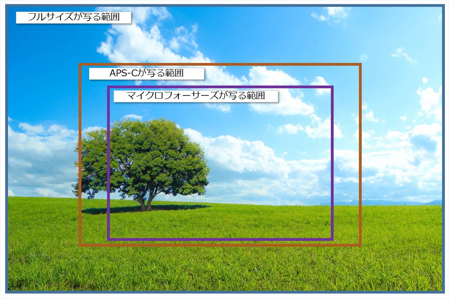 各センサーサイズが写る範囲比較