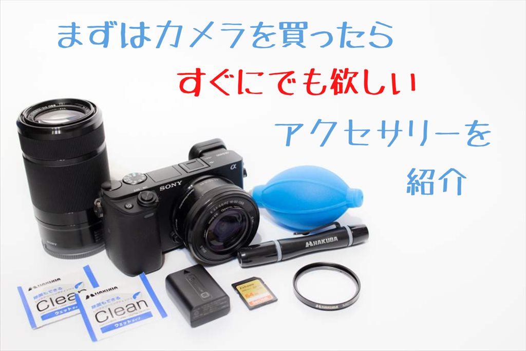α6400/α6600を買ったらなるべく早く揃えたいアクセサリー5選＋α | digi 