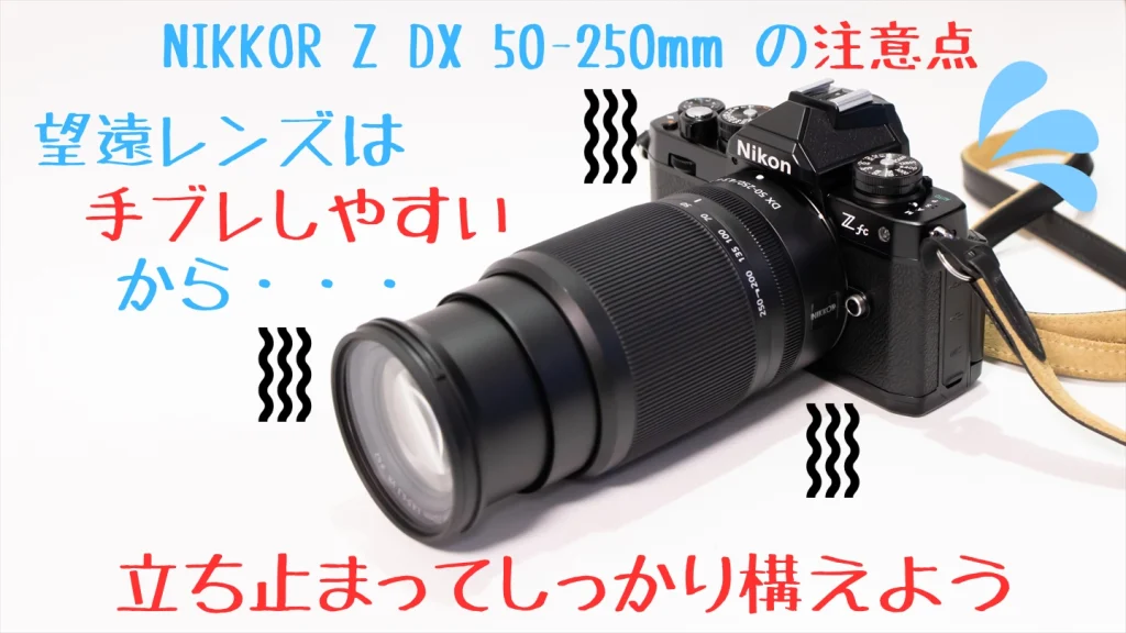 ZfcとNIKKOR Z DX 50-250mm f/4.5-6.3 VR画像