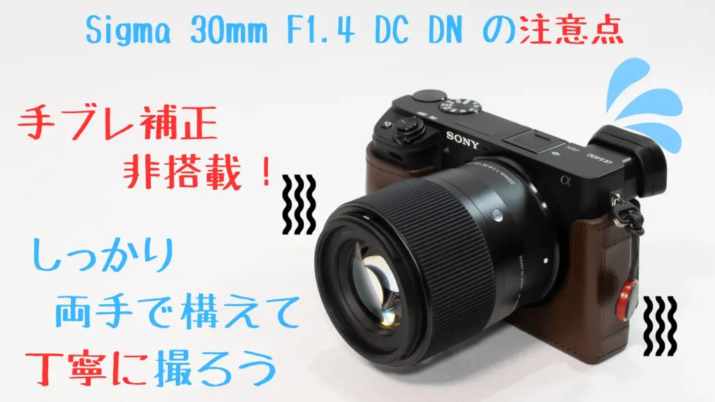 α6400とsigma30mmf1.4dcdn画像
