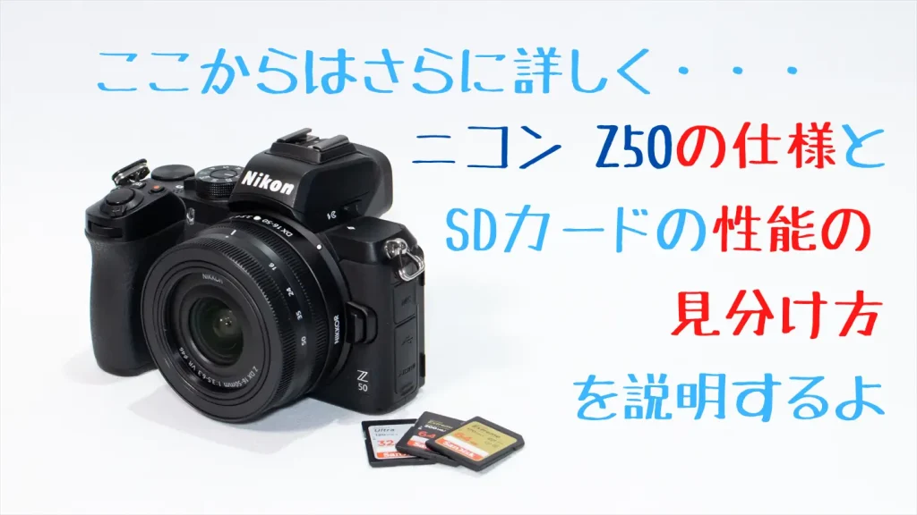 ニコンZ50とSDカード画像
