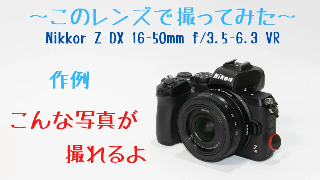 ニコンZ50とNIKKOR Z DX 16-50mm f/3.5-6.3 VR画像