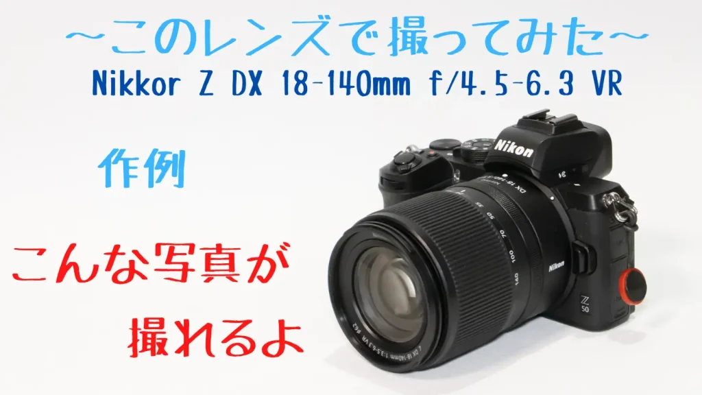 ニコンZ50とNIKKOR Z DX 18-140mm f/3.5-6.3 VR画像
