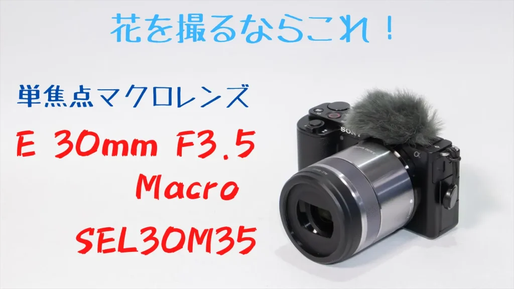 ソニー 30mm F3.5 Macroが装着されたZV-E10