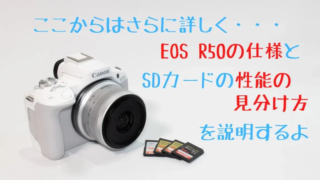 EOS R50とおすすめSDカード３枚