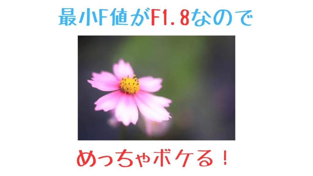 F1.8でとったボケの大きな花の写真