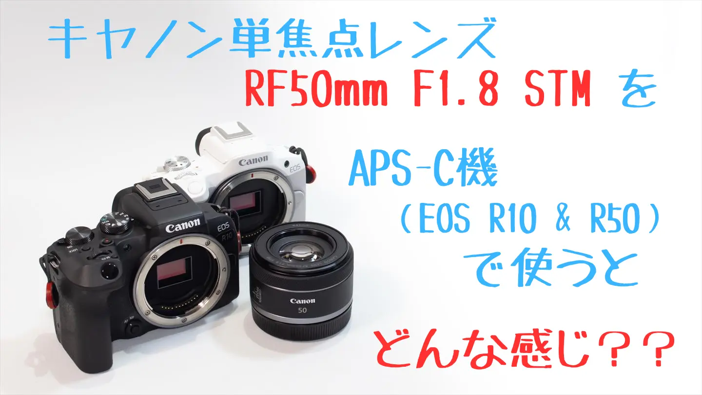 RF50mm F1.8 STMとEOS R10とEOS R50