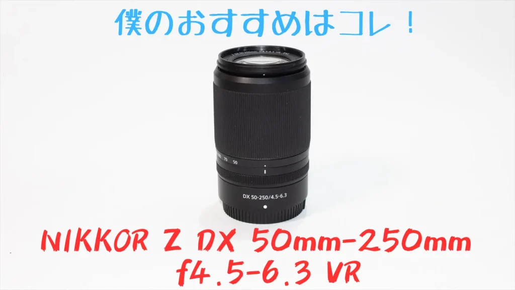 Nikkor Z DX 50mm-250mm f4.5-6.3 VR