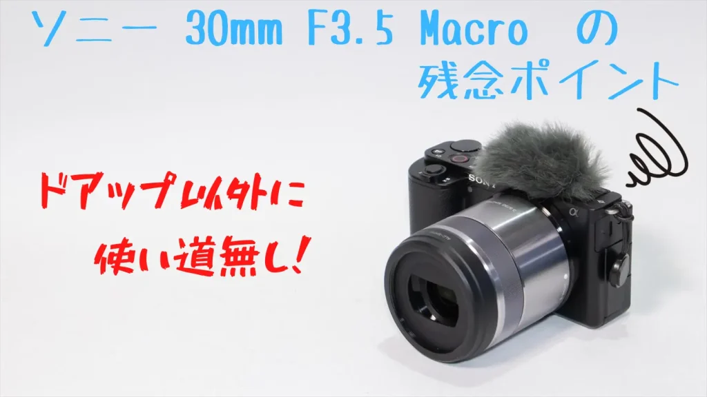 ソニー 30mm F3.5 Macroが装着されたZV-E10