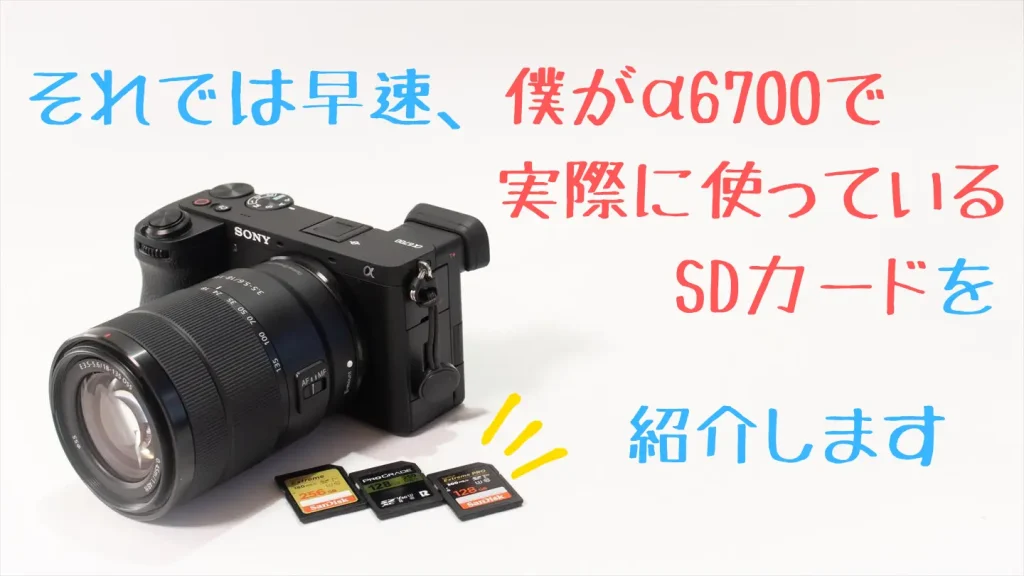 α6700と3枚のSDカード画像