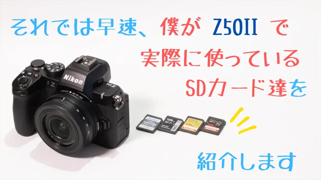 ニコンZ50とおすすめSDカード画像