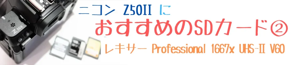 ニコンZ50とおすすめSDカード画像