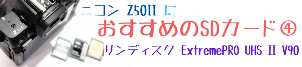 ニコンZ50とおすすめSDカード画像