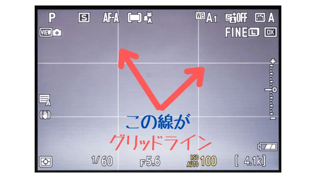グリッドライン