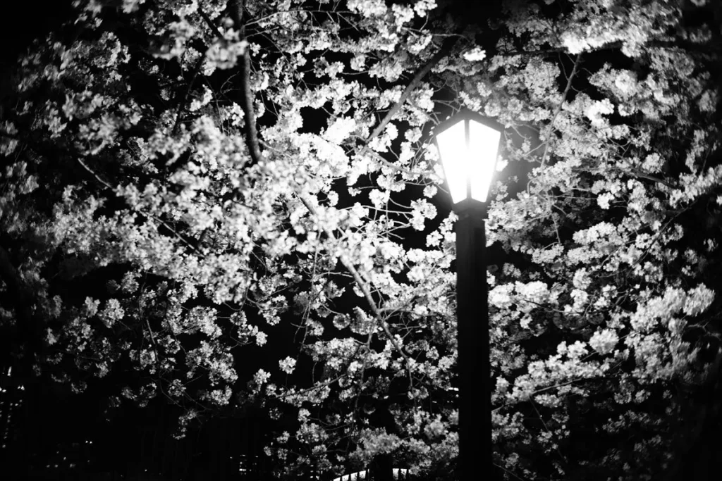 七工匠 7artisans 25mm F1.8を装着したα6400で撮影された作例　夜景スナップ