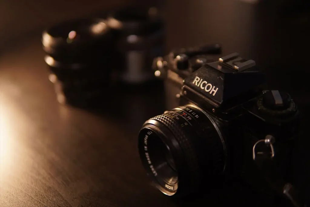 シグマ 30mm F1.4 DC DN を装着したα6400で撮った作例　背景が大きくボケている