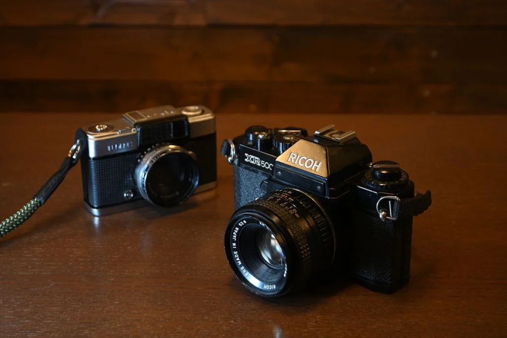 Z 40mmF2とZ DX 16-50mmのボケやすさの比較　Z DX 16-50mmで撮影した例　あまりボケていない