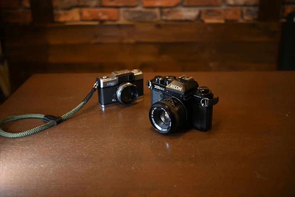 Z DX 24mmF1.7とZ DX 16-50mmのボケやすさの比較　Z DX 24mmF1.7で撮影した例　背景が急速にボケている
