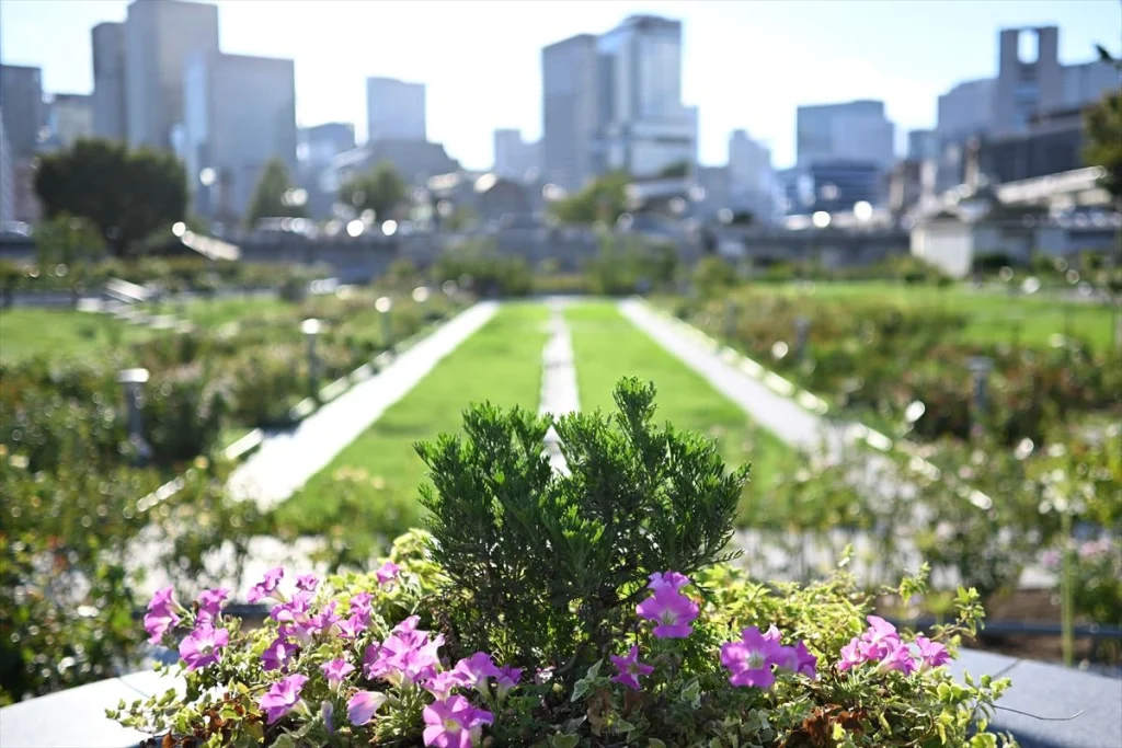 NIKKOR Z DX 24mm f/1.7の作例　F1.7