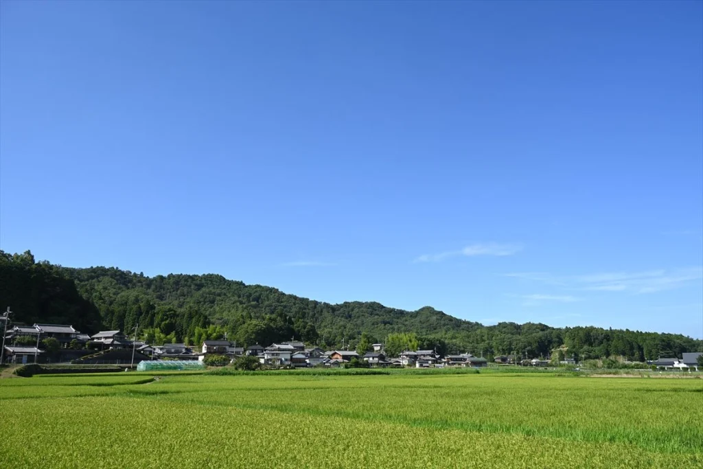 zfcにNIKKOR Z DX 18-140mm を装着した撮った作例　風景写真