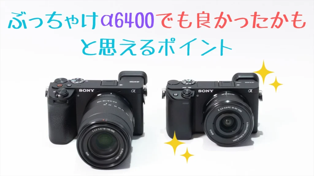 α6400でも十分満足できる撮影シーンの例