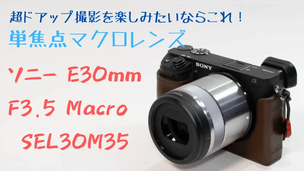 超ドアップ撮影が楽しみたいなら膜ロレンスのソニーE30mmF3.5Macroがおすすめ