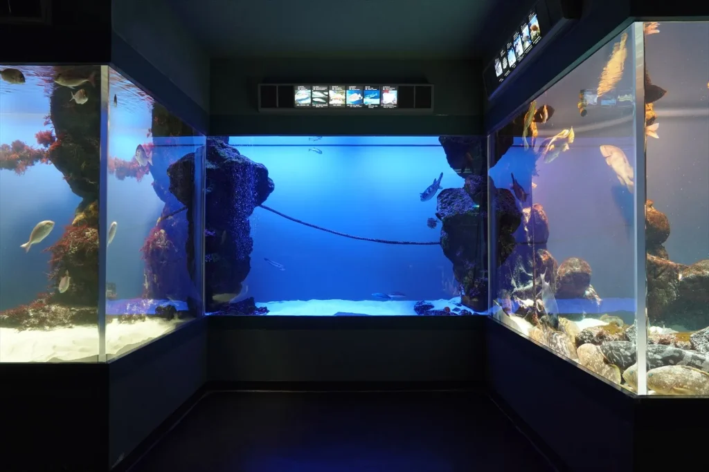 E 18-135mm F3.5-5.6 OSSで撮られた屋内スナップ