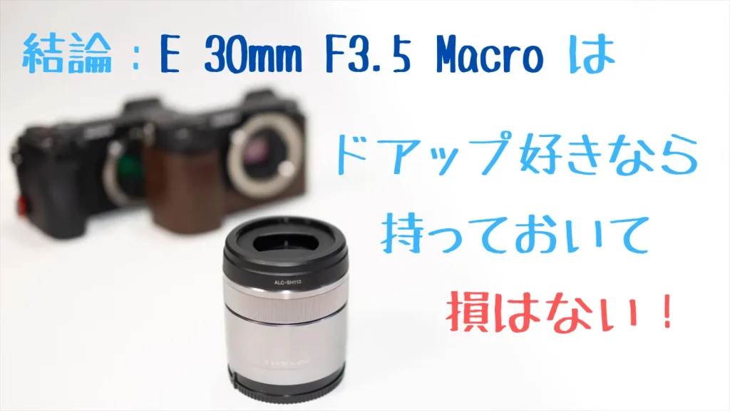 結論、E30mmF3.5Macroはドアップ好きなら持っておいて損はない