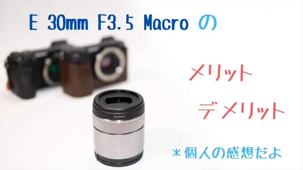 E30mmF3.5Macroのメリットデメリット