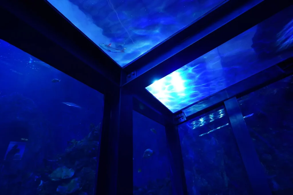 α6400とE 11mm F1.8で撮った作例 暗い屋内