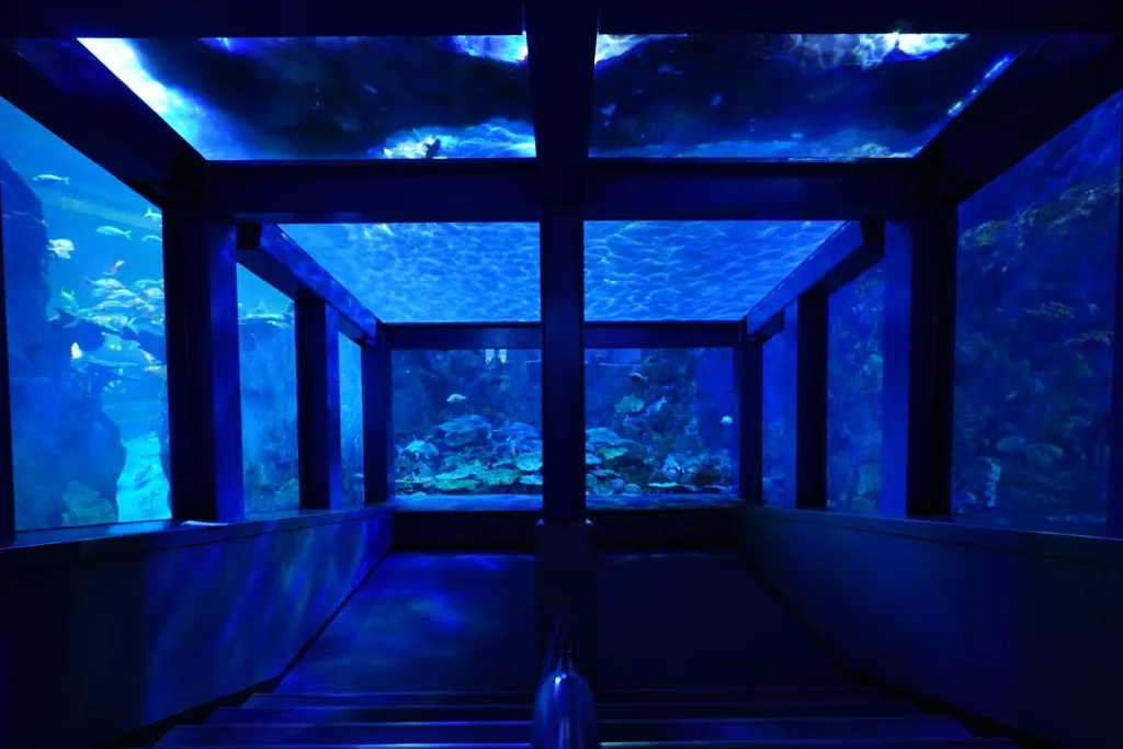 Sony E 11mm F1.8とα6400で撮った作例 電子補正で歪みが完全に補正されている