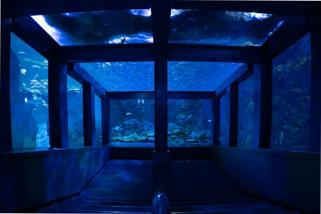 Sony E 11mm F1.8とα6400で撮った作例 RAWだと歪みが目立つ