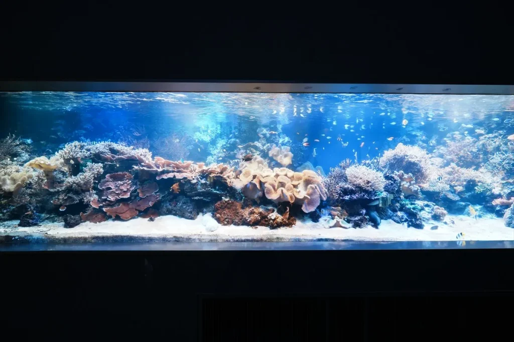 作例　水族館