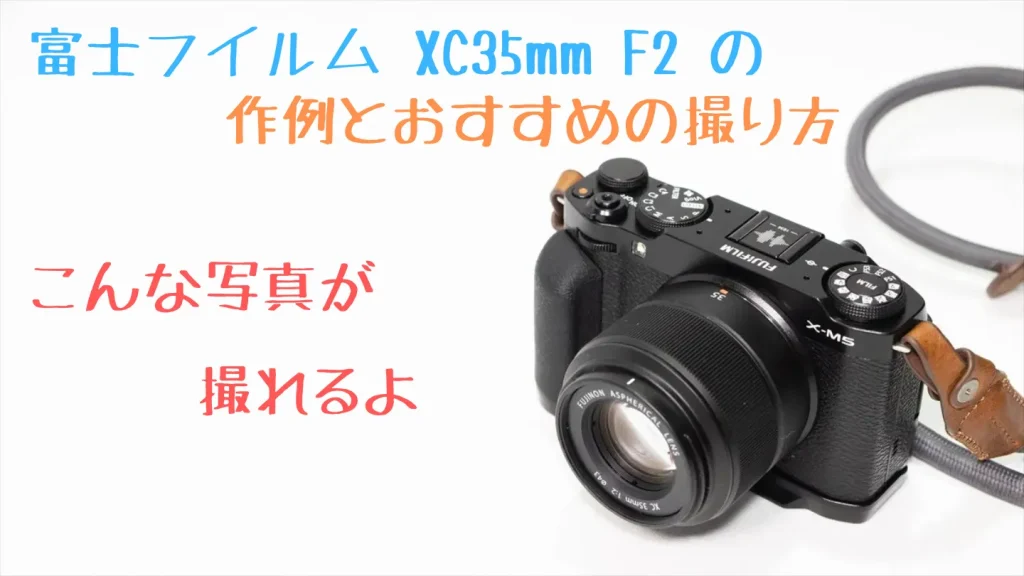 XC35mmF2の作例とおすすめの撮り方