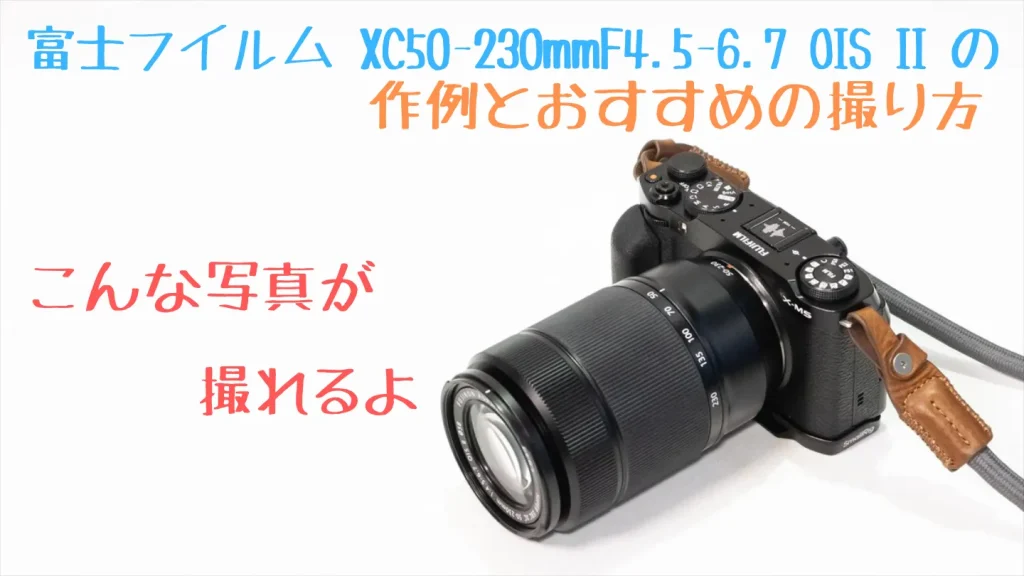 XC50-230mmF4.5-6.7 OIS IIの作例とおすすめの撮り方