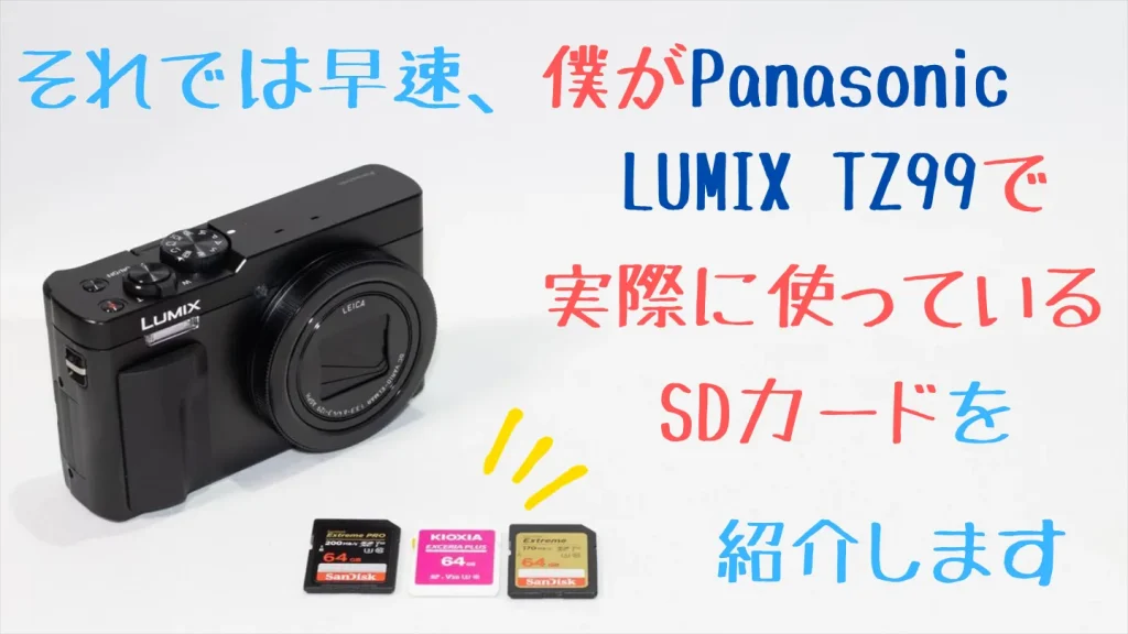 LUMIX TZ99とおすすめのSDカード3枚