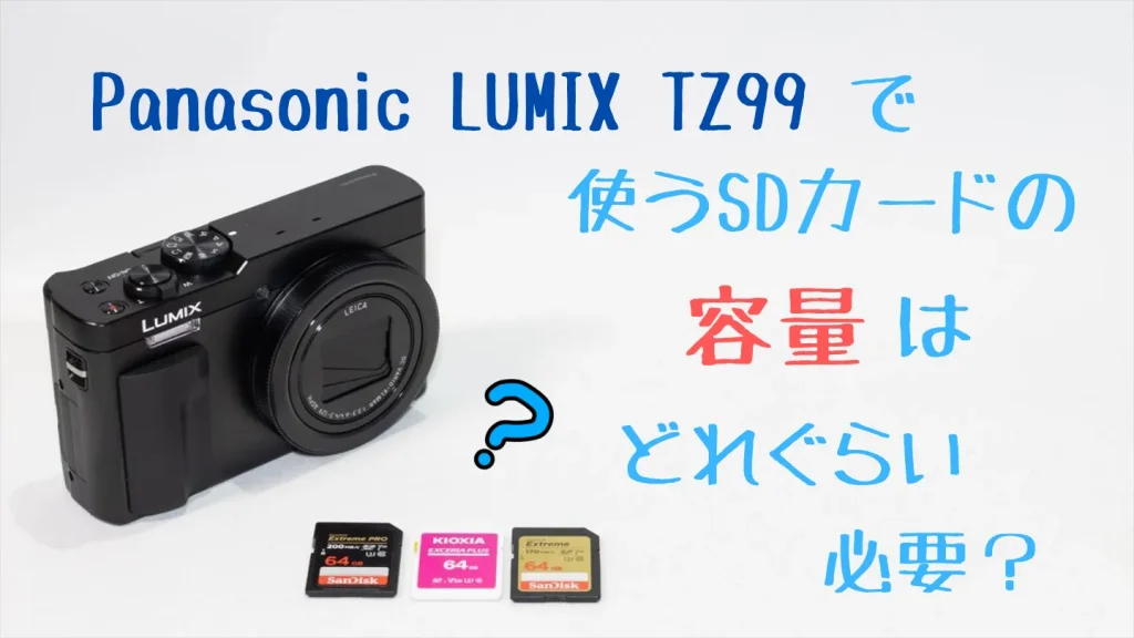 LUMIX TZ99に必要なSDカード容量の選び方